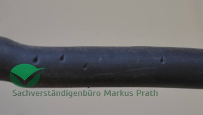 Beispielbild: Marderbiss